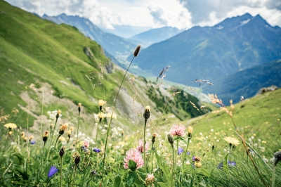 Bild: Unique hiking experience in St. Anton am Arlberg with panoramic alpine views